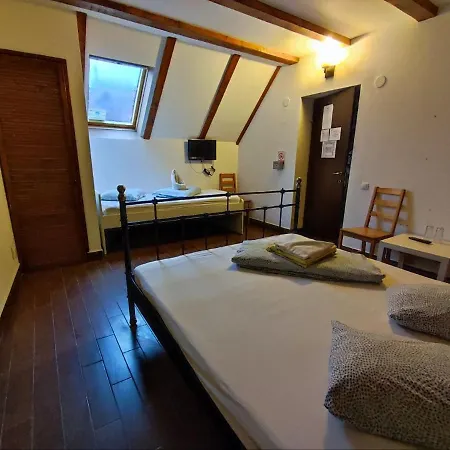 Scarlette Brasov